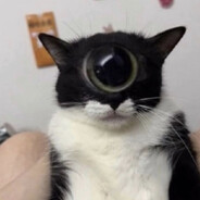 -=