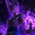 Beerus