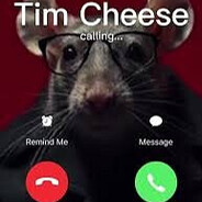 Tim Cheese avatar