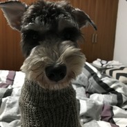 龙翔桥大石碎胸口