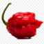 Pepper (high asf)