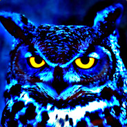 owlie