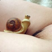 SnEEEEK-31.3 tak v 11 hod mixnu