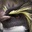 AGlowingPenguin