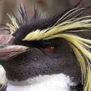 AGlowingPenguin