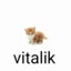 vitalik