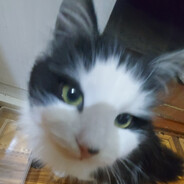 Контуженный