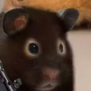 鉴定的眼神要入党