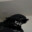 profiles