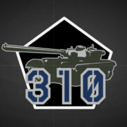 AK310