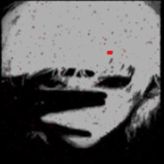 SSSrankpeek NightWhalckeR