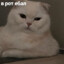 блять