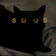 胖虎工作室_大牛至