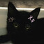 ✿やづめ✿