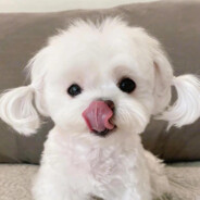 更适合中国宝宝体质的突破手