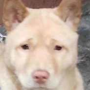 人不行别怪路不平