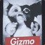 srsgizmo