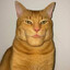 Сру в лесу's avatar