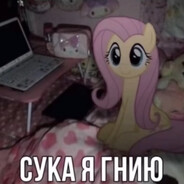 алина аганим