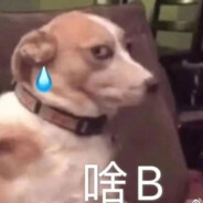 阴暗爬行三百年