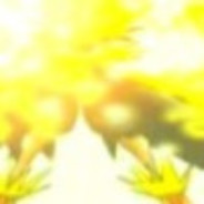 MUYI可以蹲到猎吗？