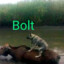 Bolt