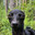 borknbarken