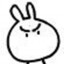 bunny16k