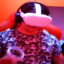 LoryKiller