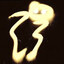 soaky's avatar