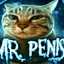 Mr. Penis