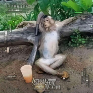 老板来斤猪咪，要黑的