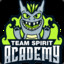 novel Team Spirit Academy