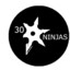 30Ninjas