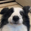 沈阳大王123