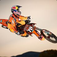 [đŏţѕ] °david ° Freestyler