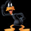 Black Duck