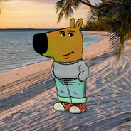 Player avatar