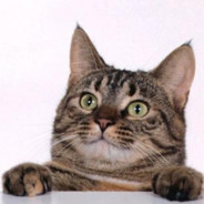 星际遨游之大展的格局