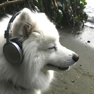 落魄谷中寒风吹