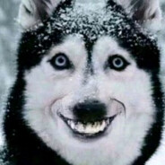 B ⊱Ɑ͞ ̶ ̶͞ ̶͞ ̶͞ﻝ