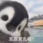 从不生气
