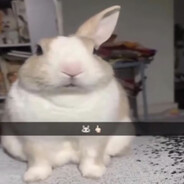 我的攻是个女孩