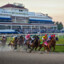 Irad Ortiz Jr.