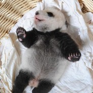 70717273747576777879