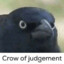 Judgement Crow