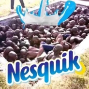 Nesquido