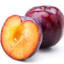 Carpe Free Plum