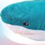 Blue Shark