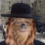 Jewbacca